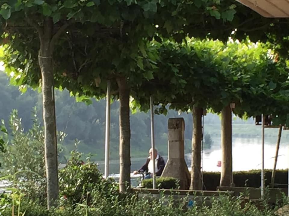 Maas Chalet Aldeneik Maaseik Εξωτερικό φωτογραφία